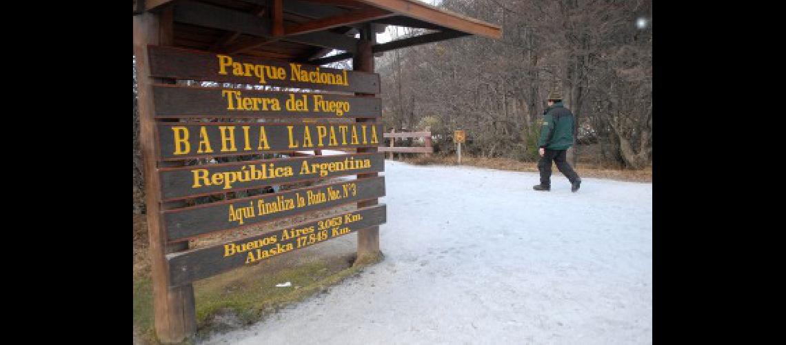 Condenaron a los tres imputados por la tala de aacuterboles en el Parque Nacional Tierra del Fuego