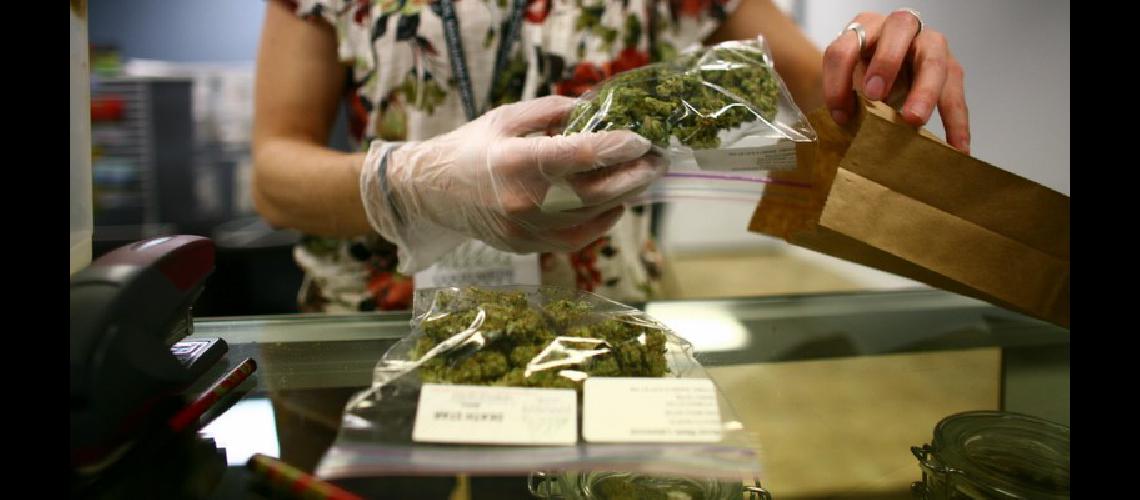 A Medical Marijuana Operation In Colorado Run By Kristi Kelly Co-Founder Of Good Meds Network