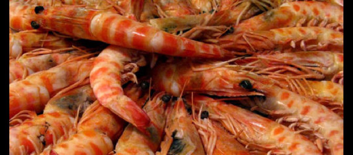 langostino