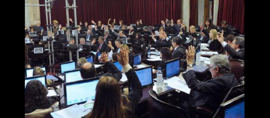 senado-6