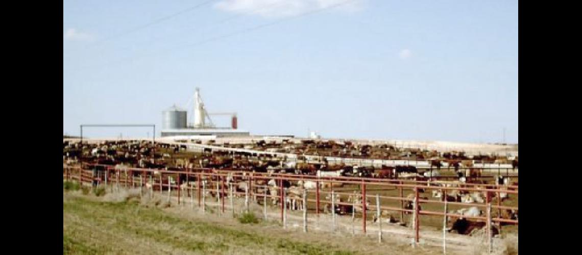 feedlots