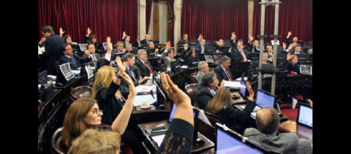 senado-debate