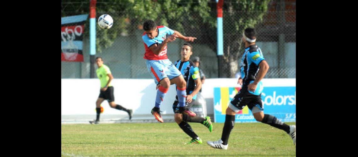 brown-alfaro