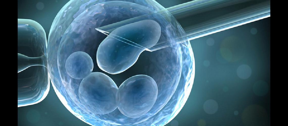 fertilizacion-in-vitro1