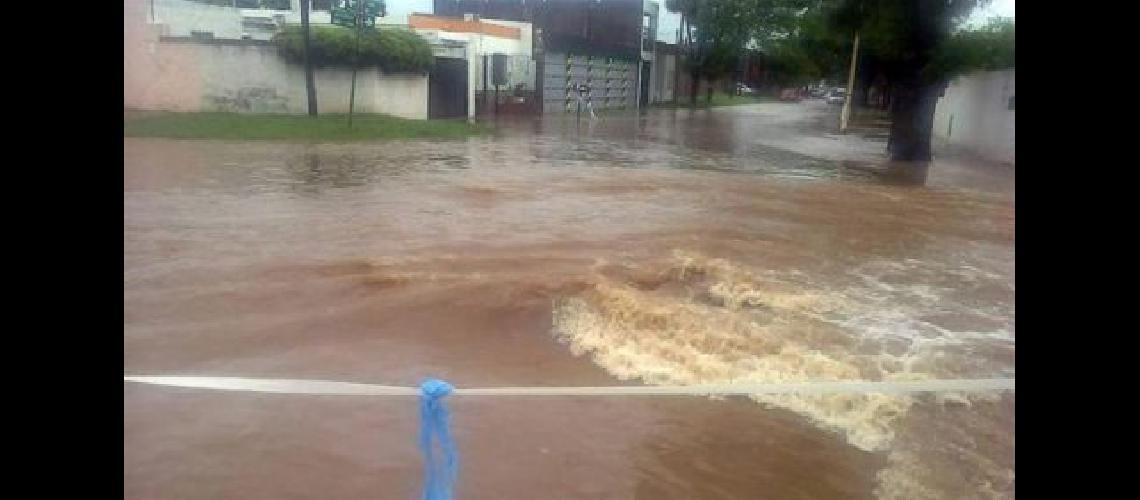 pergamino