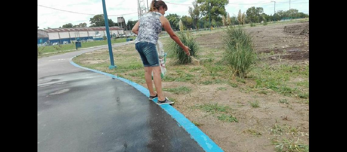 Mantenimiento del Parque de Llavallol