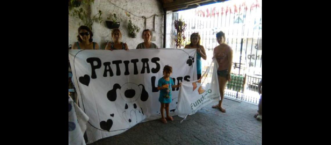 Patitas Lomas y FundACo realizan castraciones gratis