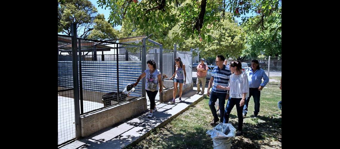 Remodelaron el Centro de Zoonosis con nuevos caniles