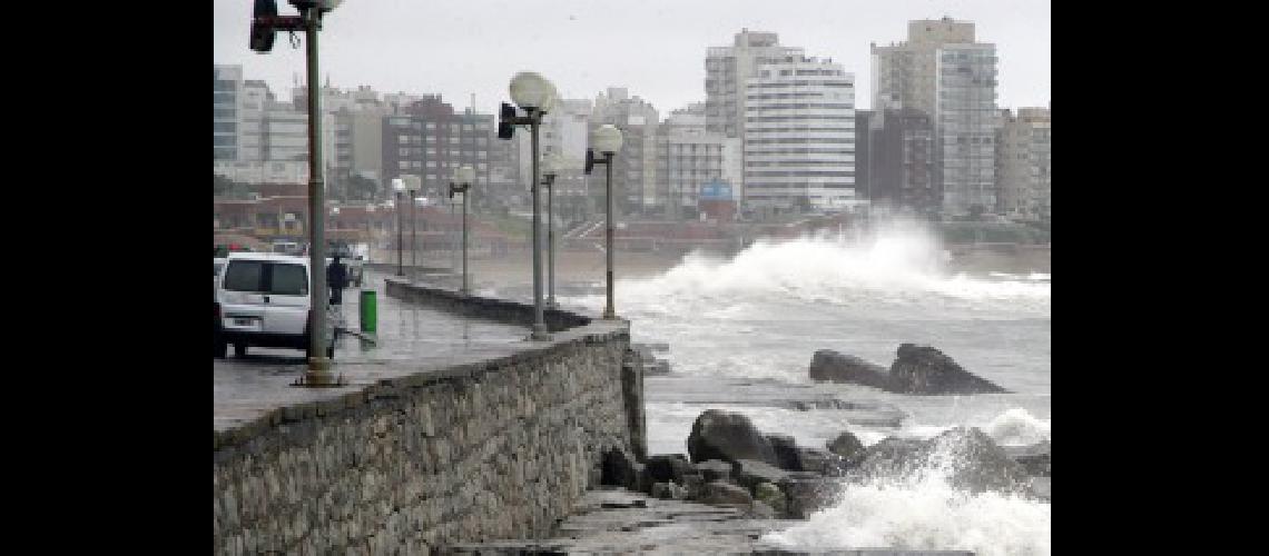 En Mar del Plata el temporal dejoacute maacutes de 40 evacuados y 220 aacuterboles caiacutedos