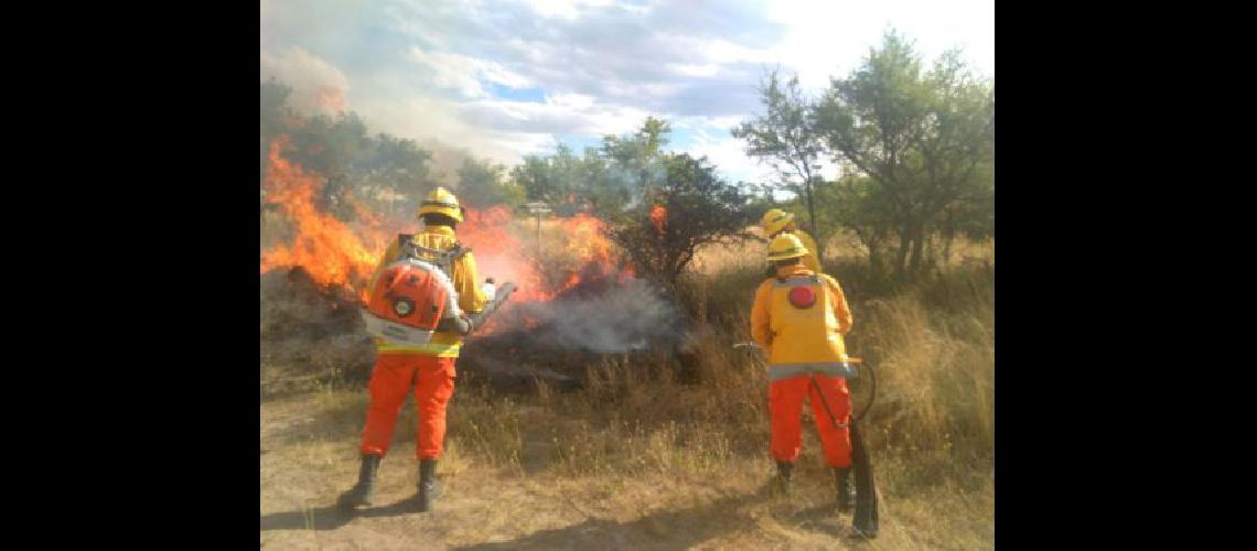 Confirman la disminucioacuten de los incendios forestales