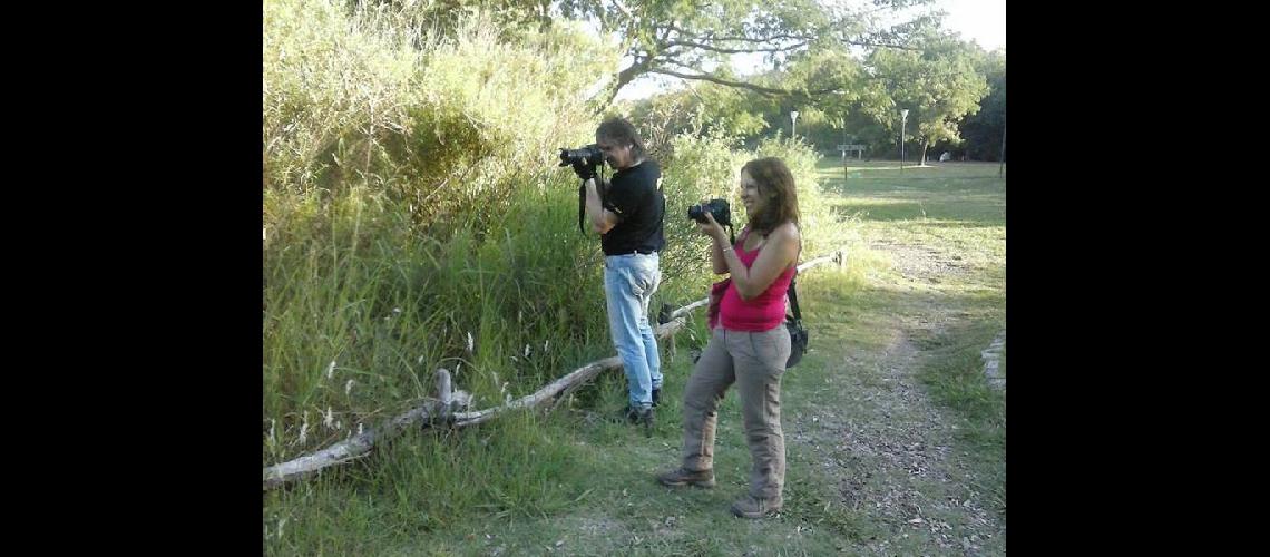 Barriletes murga y safari en la Reserva