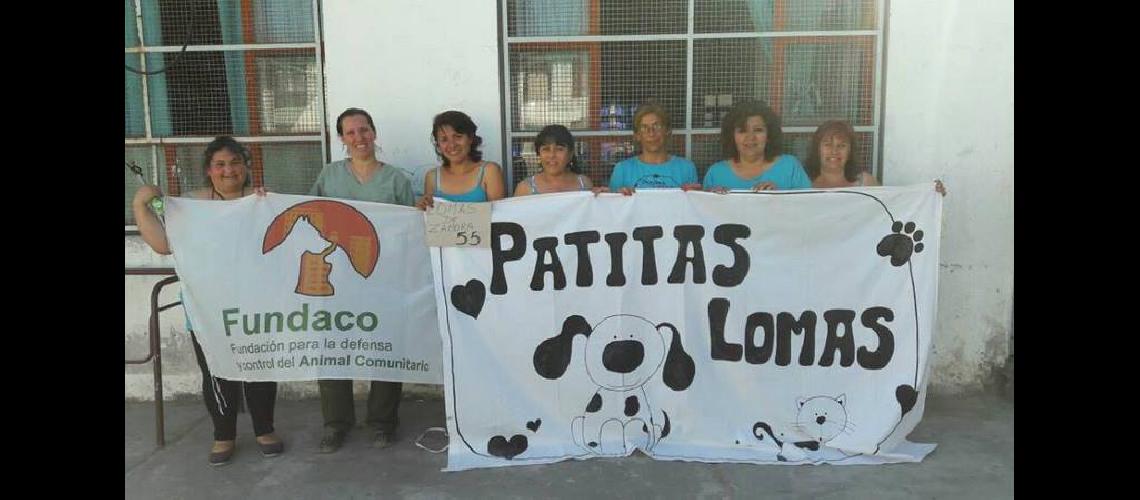 Castraciones gratis en la Plaza Montiel