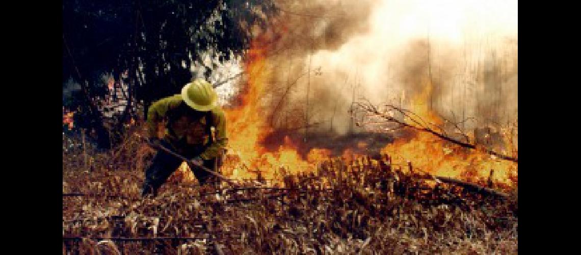 Un incendio forestal arrasoacute con viviendas y miles de hectaacutereas