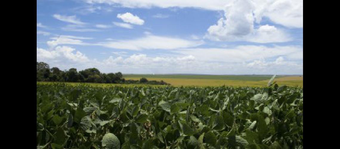 Los enviacuteos de soja cereales carne y cuero representan la mitad de las exportaciones