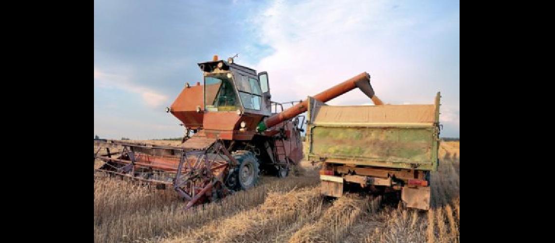 El sector oleaginoso cerealero tiene en marcha inversiones por US 1700 millones
