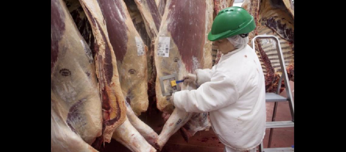 El Senasa aplica un programa de vigilancia a la importacioacuten de carne brasilentildea