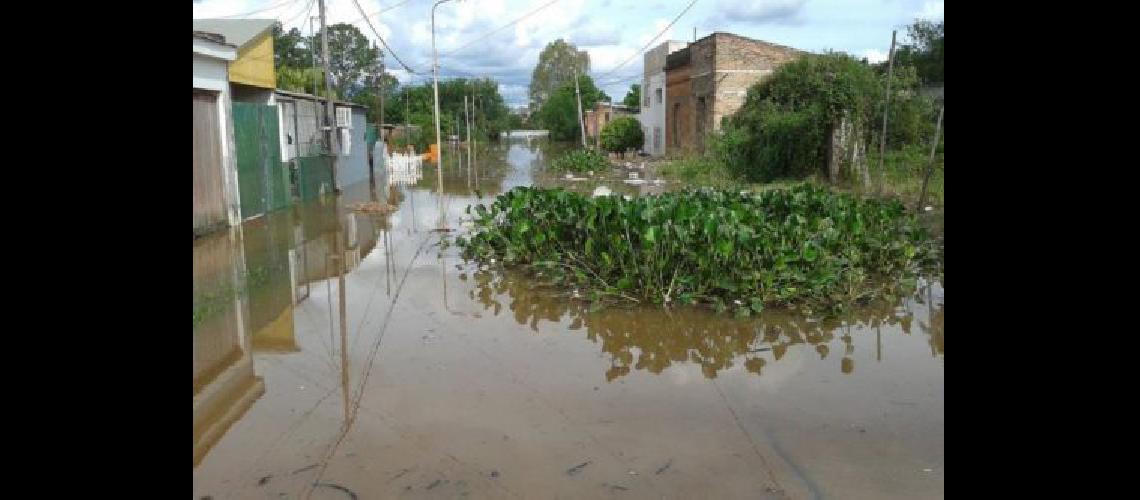 Las inundaciones dantildearon una escuela en el sur tucumano