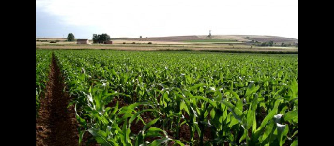 Empresarios de la India estaacute interesados en productos agriacutecolas de Coacuterdoba