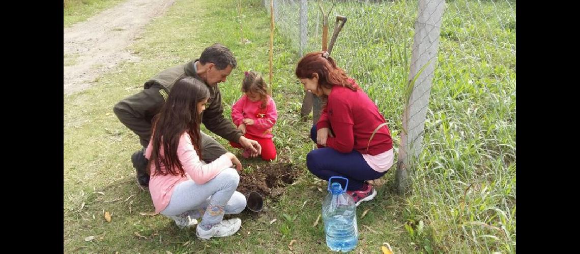 Lanzan un plan para conservar la flora y ampliar la forestacioacuten