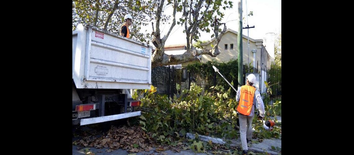 Poda- 500 vecinos ya pidieron permiso