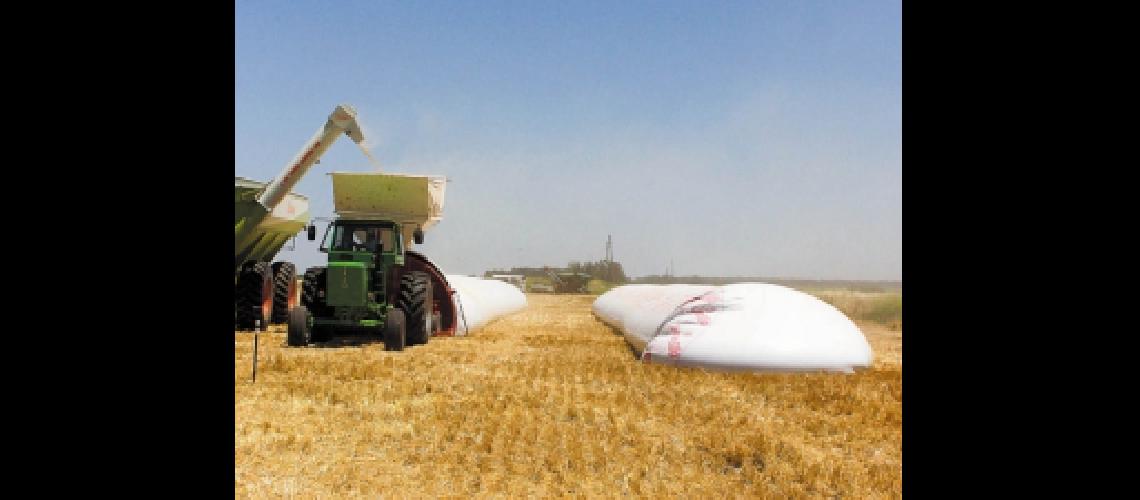 Impulsadas por la soja crecieron un 10-en-porciento- las exportaciones uruguayas a la Argentina