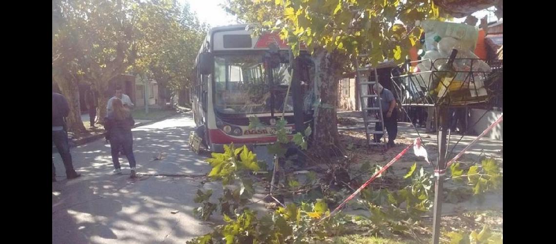 Lomas- un colectivo chocoacute y dejoacute al menos 33 heridos