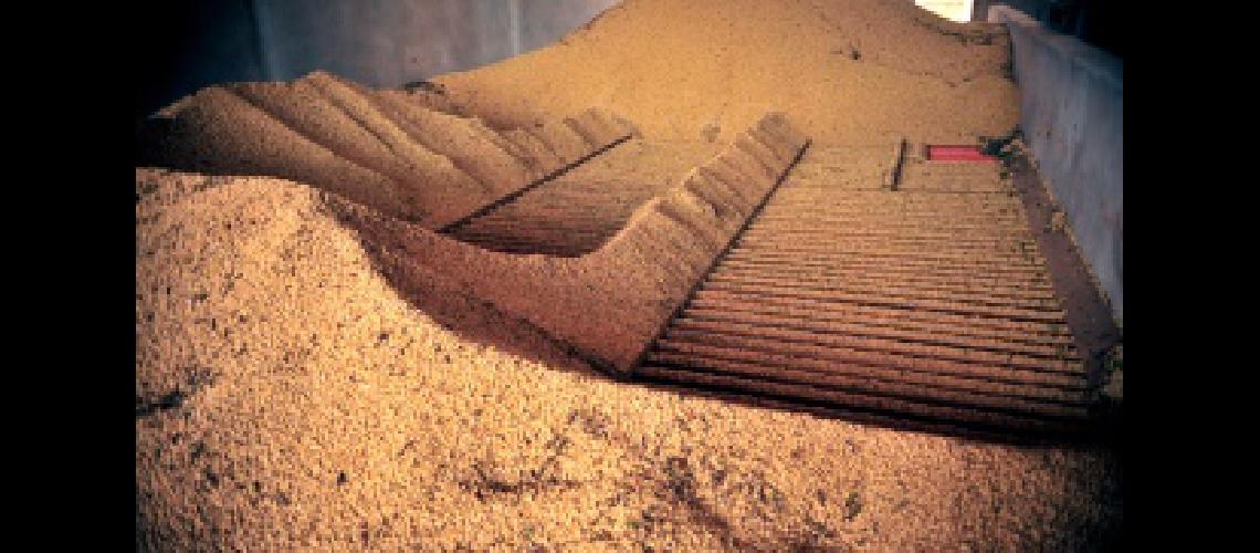 La Bolsa de Cereales estima en 2856200 de toneladas la produccioacuten de soja