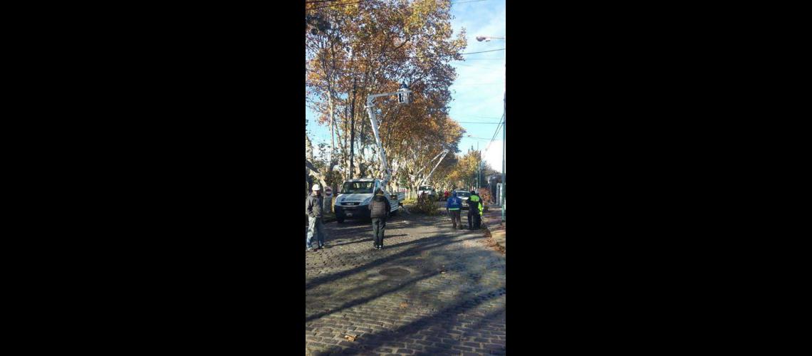 Despejan caacutemaras de vigilancia y luces