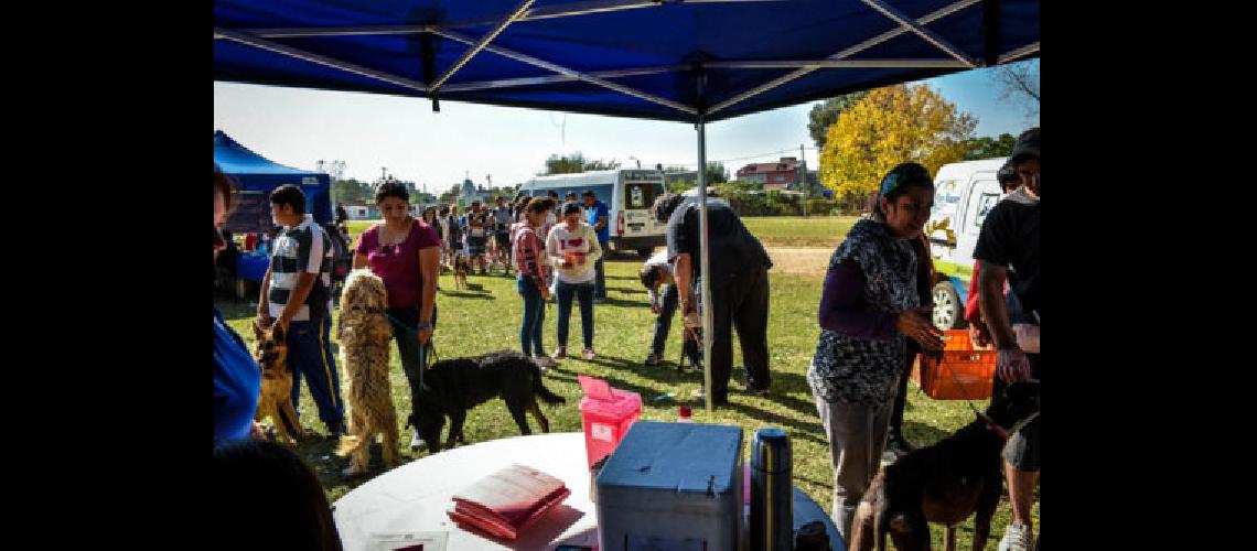La Yaya tendraacute su jornada de servicio