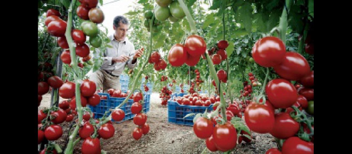 Inauguraron una nueva edicioacuten del Encuentro Argentino del Tomate