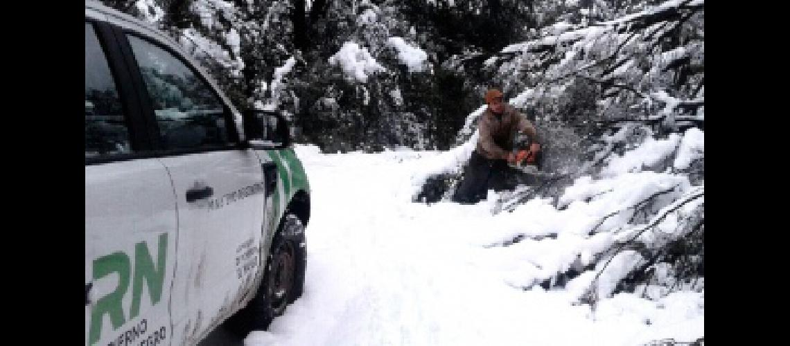 Se despliega la ayuda para los damnificados por el temporal de nieve
