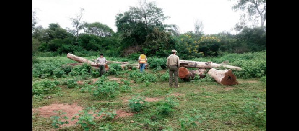Evaluacutean a 15 abogados para el cargo de primer juez ambiental de la provincia de Jujuy
