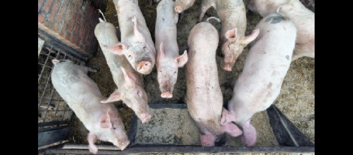 Adjudican fondos para el desarrollo de pequentildeos productores del norte