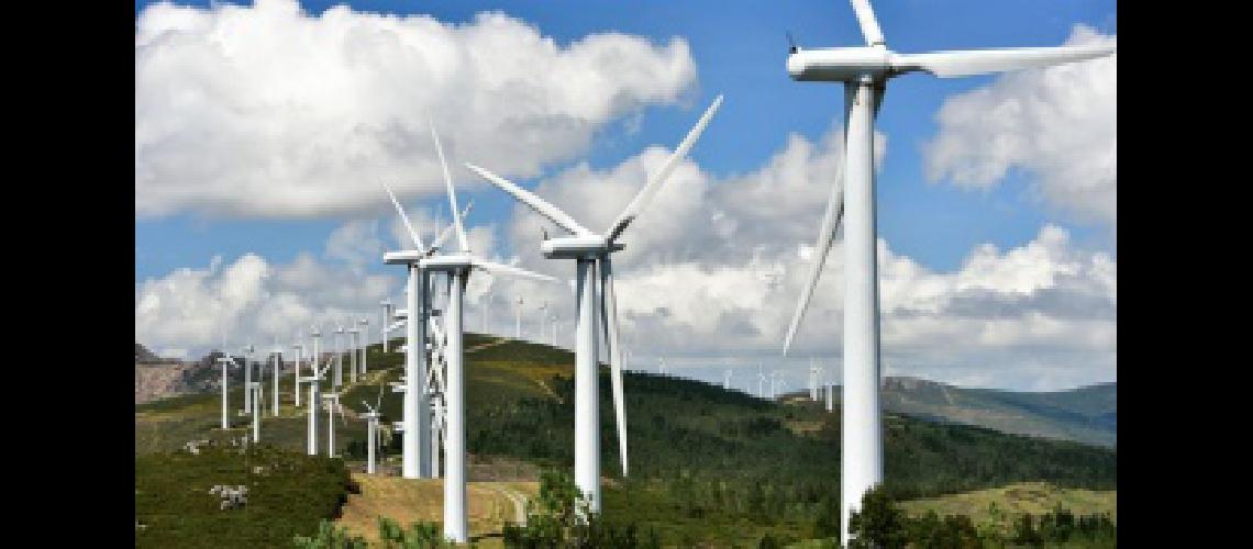 Firma estatal planea participar en la licitacioacuten Renovar 2 con un proyecto de energiacutea eoacutelica
