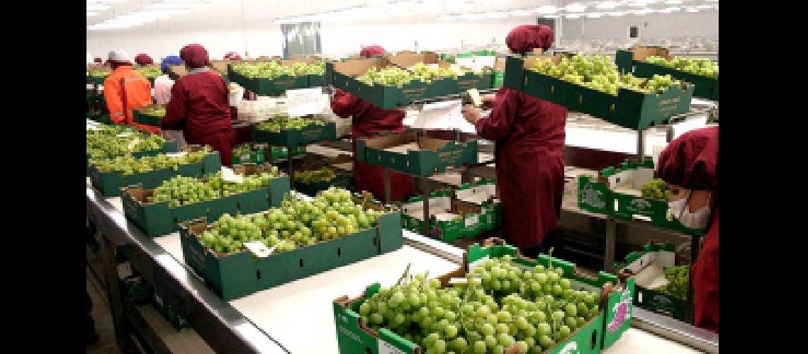 Se exportaron maacutes de 180000 toneladas de productos desde el puerto San Antonio Este