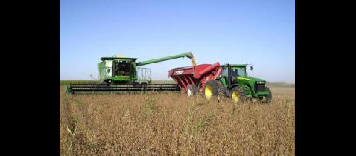 Culmina la cosecha de soja con rendimientos superiores al promedio histoacuterico