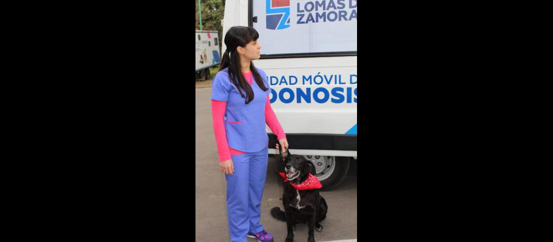 Zoonosis adquirioacute un quiroacutefano moacutevil para las mascotas