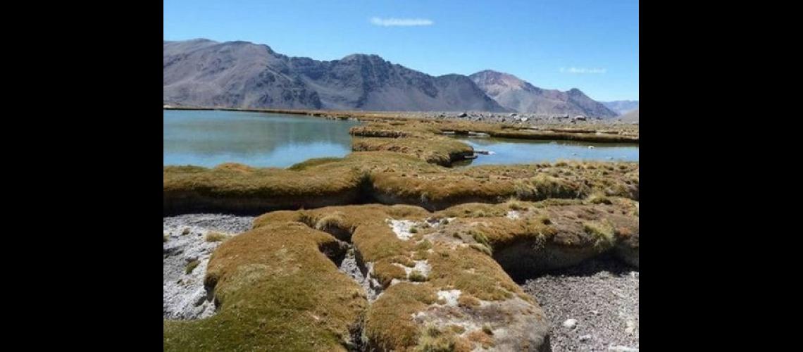 Chile infectoacute aguas argentinas