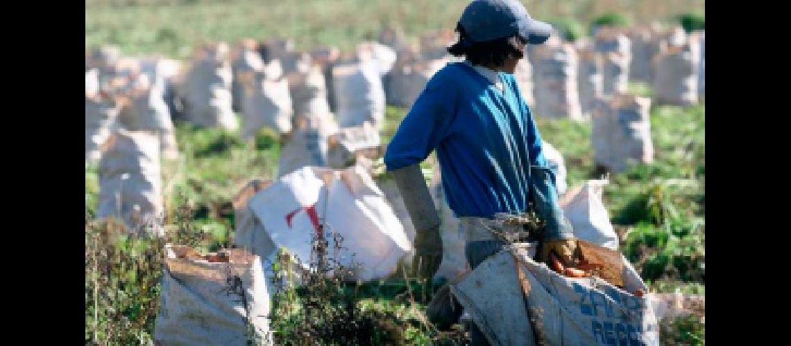 Lanzaron un programa de ayuda econoacutemica para trabajadores rurales