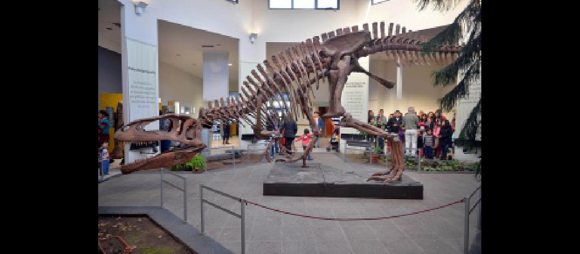 Bautizaron con el nombre de Patagotitan Mayorum al dinosaurio maacutes grande que habitoacute el planeta