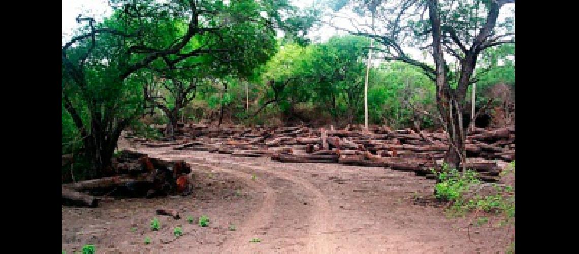 El gobierno bonaerense aproboacute la reglamentacioacuten de la ley de Bosques Nativos