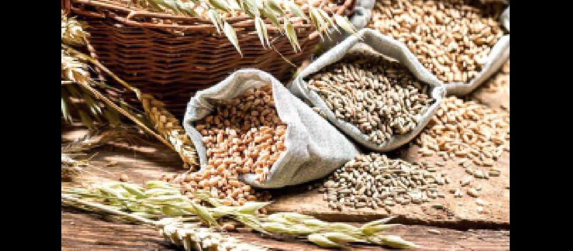 Reacutecord de produccioacuten cerealera con 7000000 de toneladas