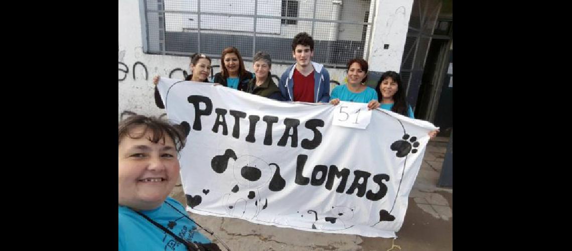 Castraciones a bajo costo en Lomas