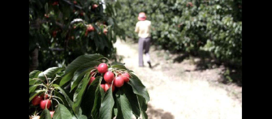 Agroindustria realizoacute la segunda reunioacuten frutiacutecola
