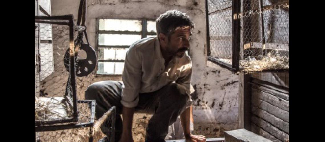 Sbaraglia La cultura y el intereacutes son cosas que se construyen
