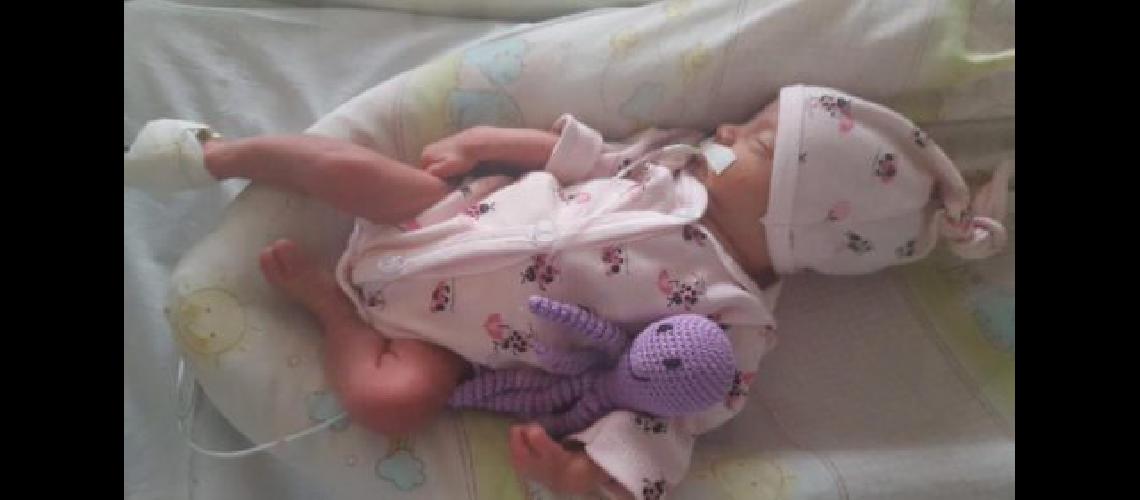 Tejen pulpos para bebeacutes prematuros