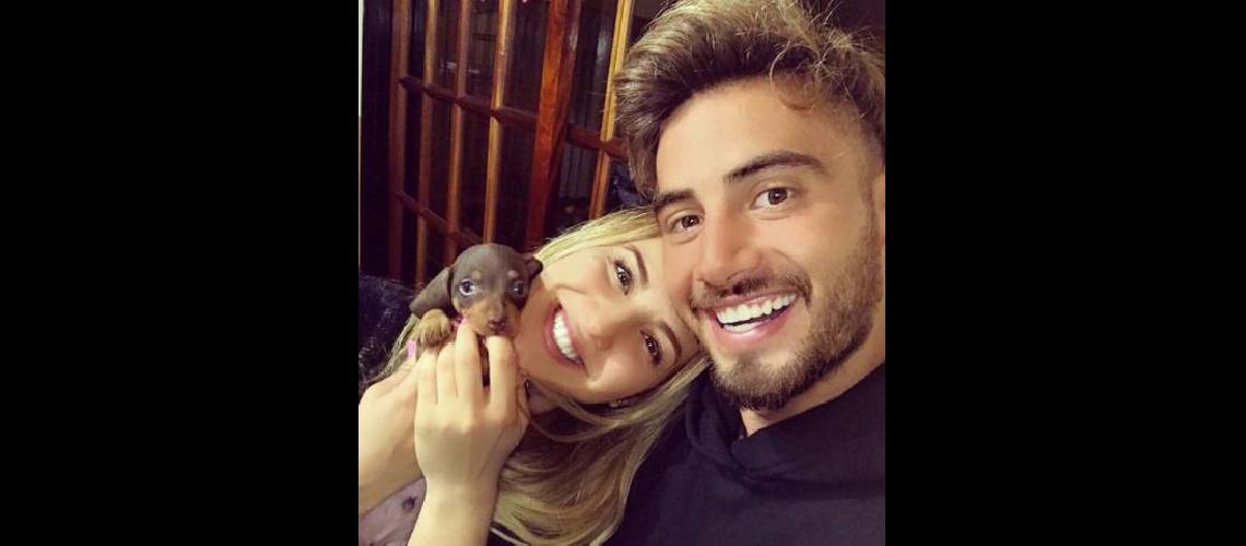 Perro salchicha gordo bachicha