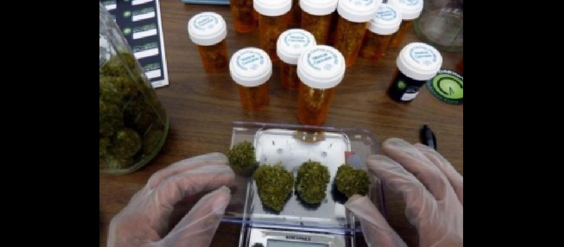Detuvieron a uno de los impulsores del uso de cannabis medicinal del paiacutes