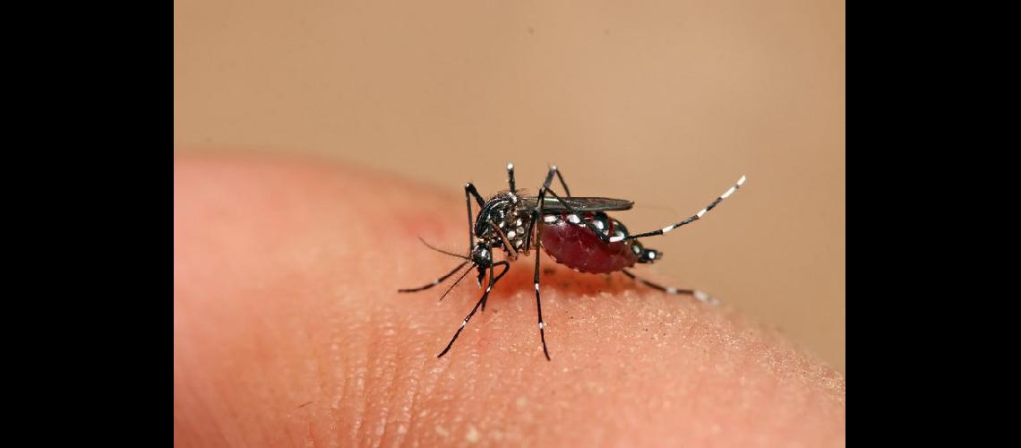 Capacitan sobre zika dengue y chikungunya en 12 municipios