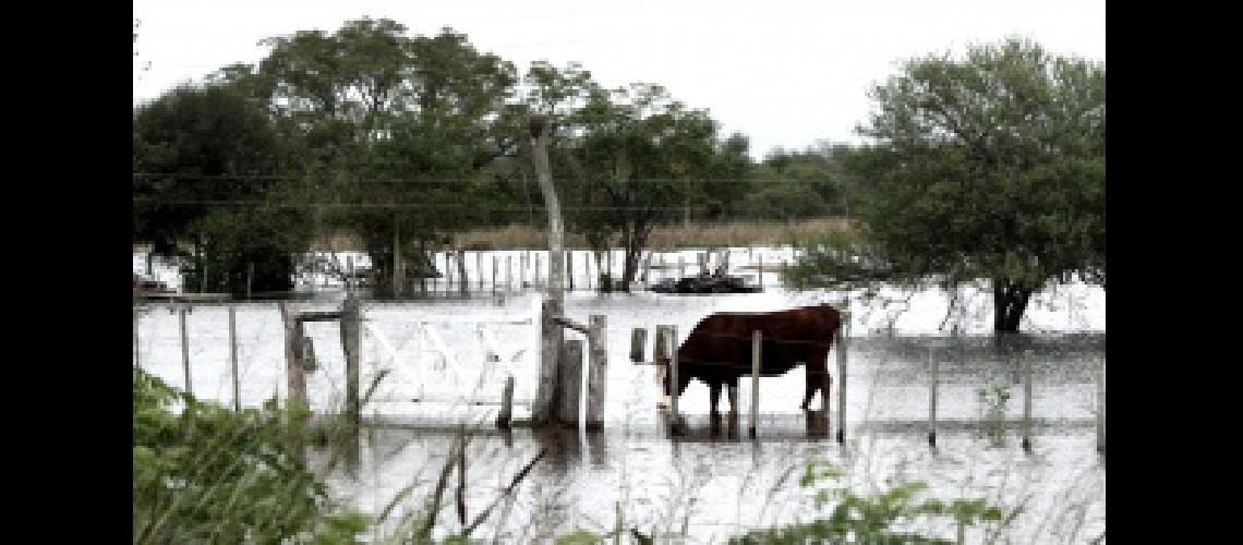 Alerta por abundantes precipitaciones en Chaco Corrientes Entre Riacuteos Formosa Misiones y Santa Fe